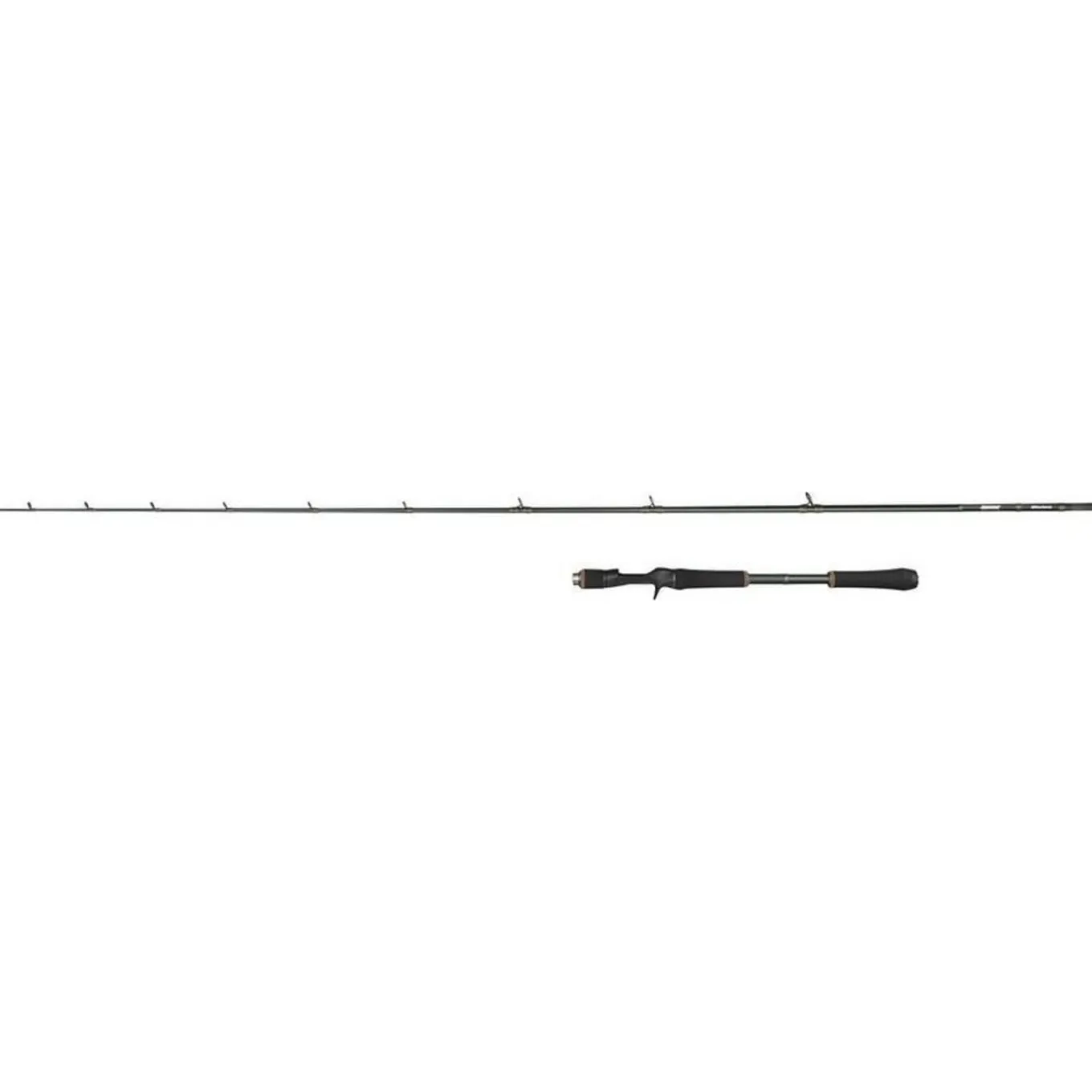 Abu Garcia Beast X Casting