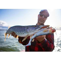 Abu Garcia Svartzonker McPike