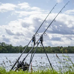 Avid Lok Down Buzz Pod
