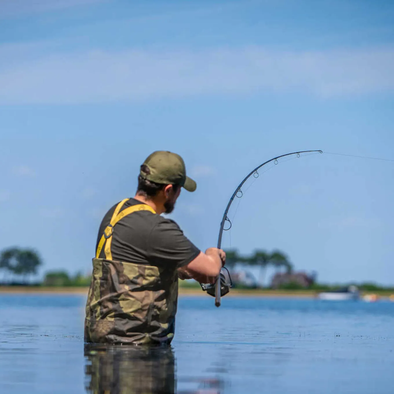 Avid Revolve Rod