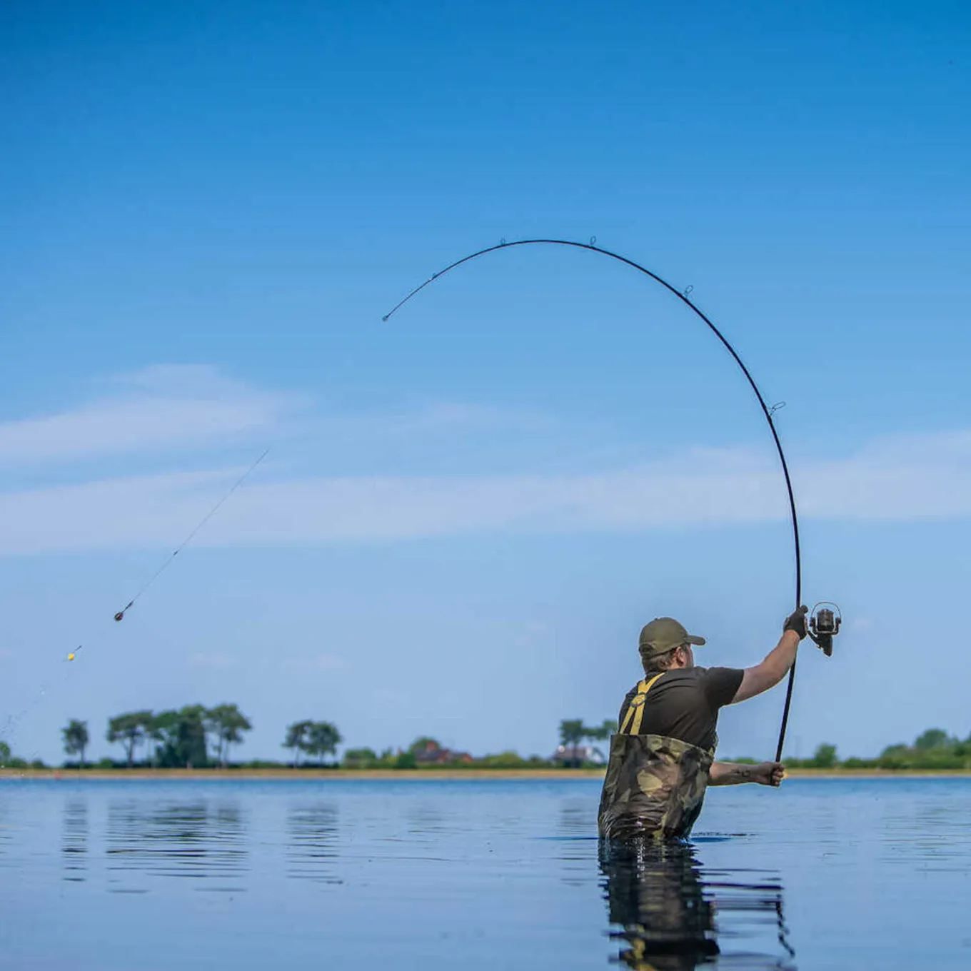 Avid Revolve Rod