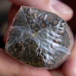 Avid Transfer Solid PVA Bag