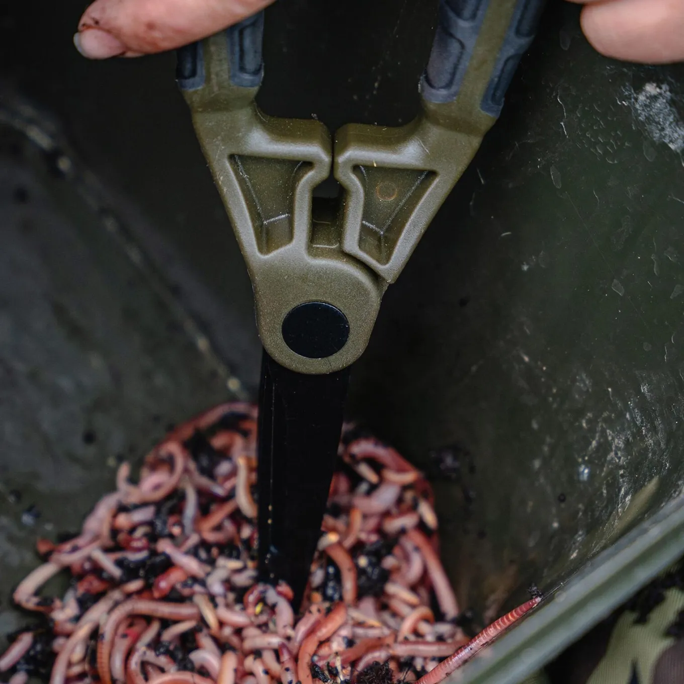 Avid Worm Choppers