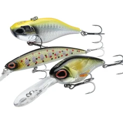 Berkley DEX Gift Box