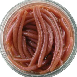 Berkley Gulp Alive Angle Worm