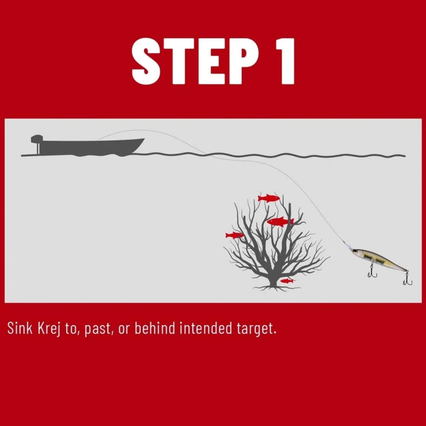 Berkley Krej
