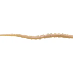 Berkley Powerbait Gulp! Saltwater Isome Futomi