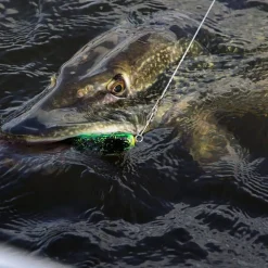 Berkley Zilla Glider