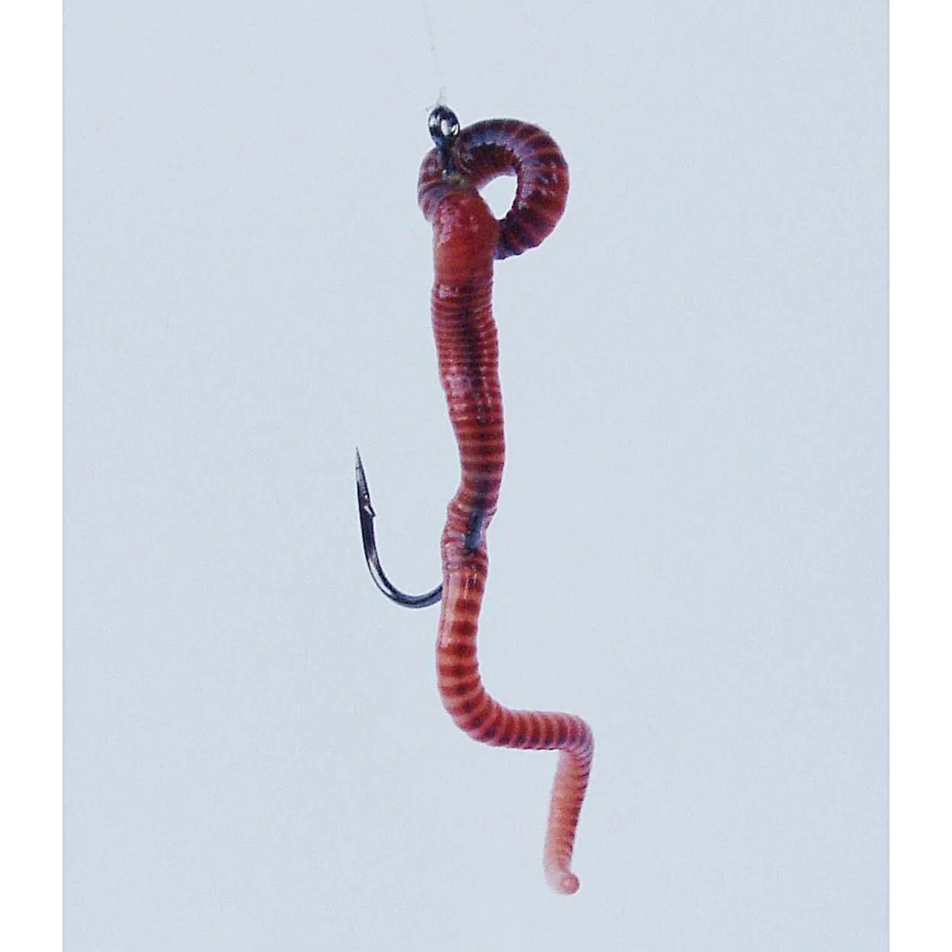 Gamakatsu Worm 34