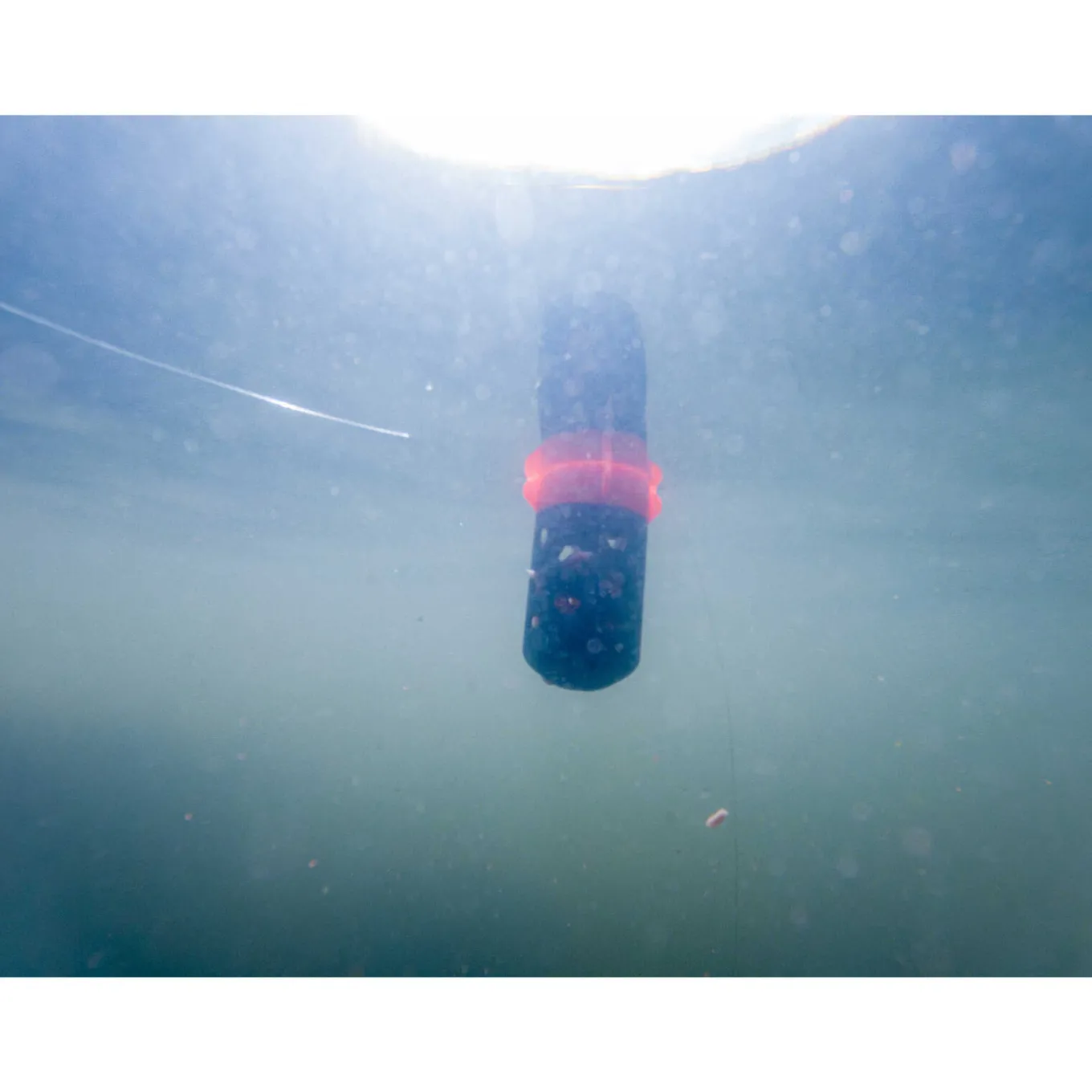 Korum Floating Feeder