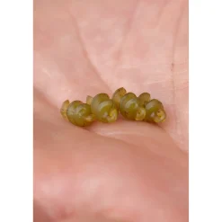 Korum Smokescreen Meat Screws