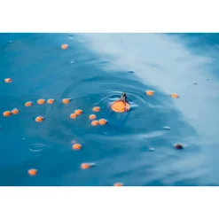 Korum Surface Feeder Float