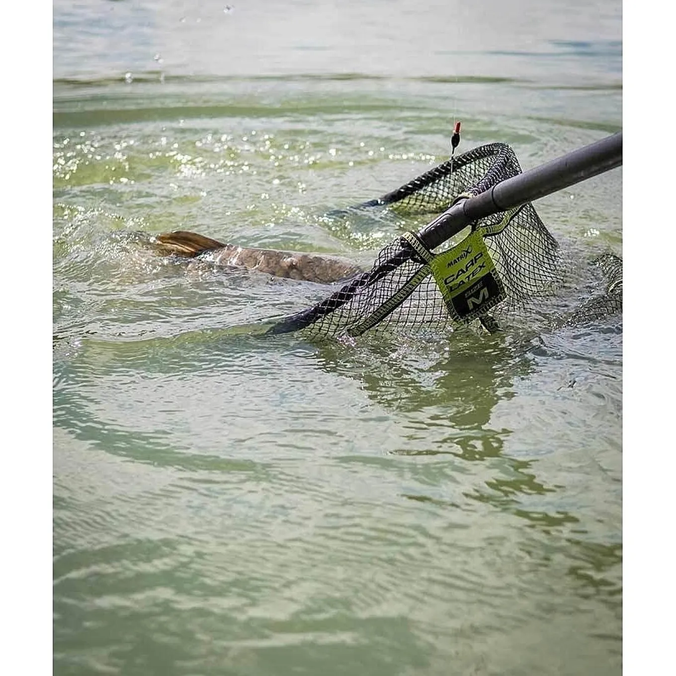 Matrix Carp Latex Net