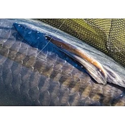 PB Products Ghost Dragonfly 400m 0.37mm 18lb
