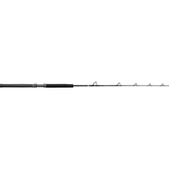 Penn Squall II Trolling Casting Rod