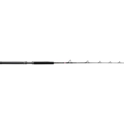 Penn Squall II Trolling Casting Rod