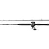 Penn Warfare Combo 2.10m 30lbs LH