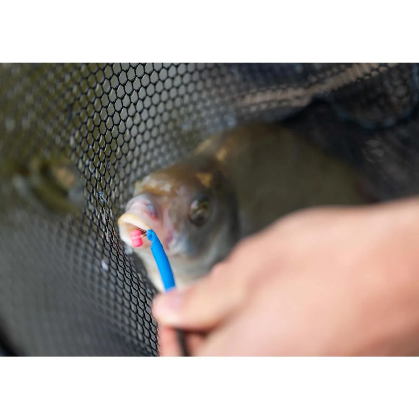 Preston Floater Disgorger Baiting Needle