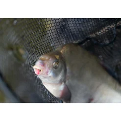Preston Floater Disgorger Baiting Needle