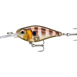 Rapala X-Light Shad