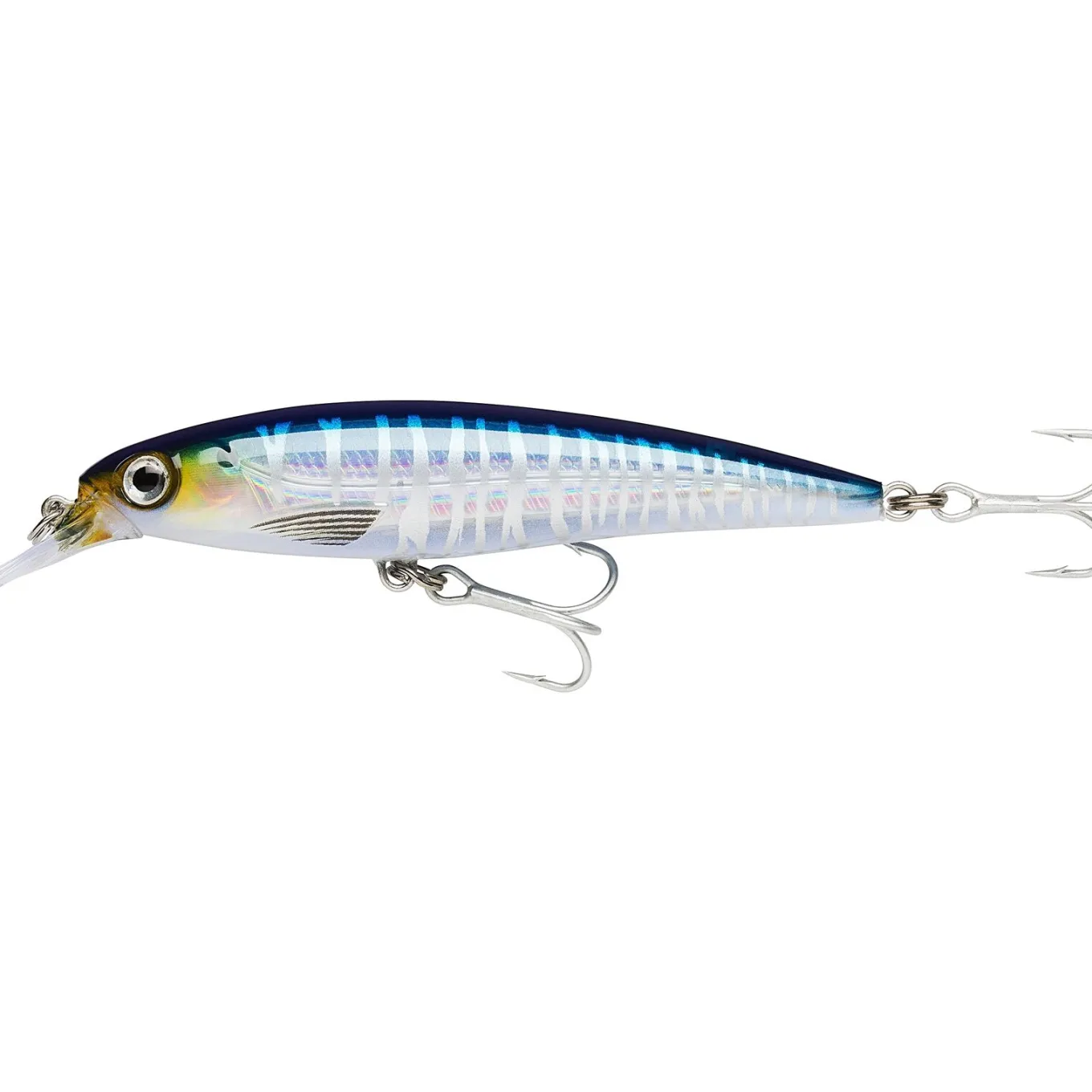 Rapala X-Rap Saltwater