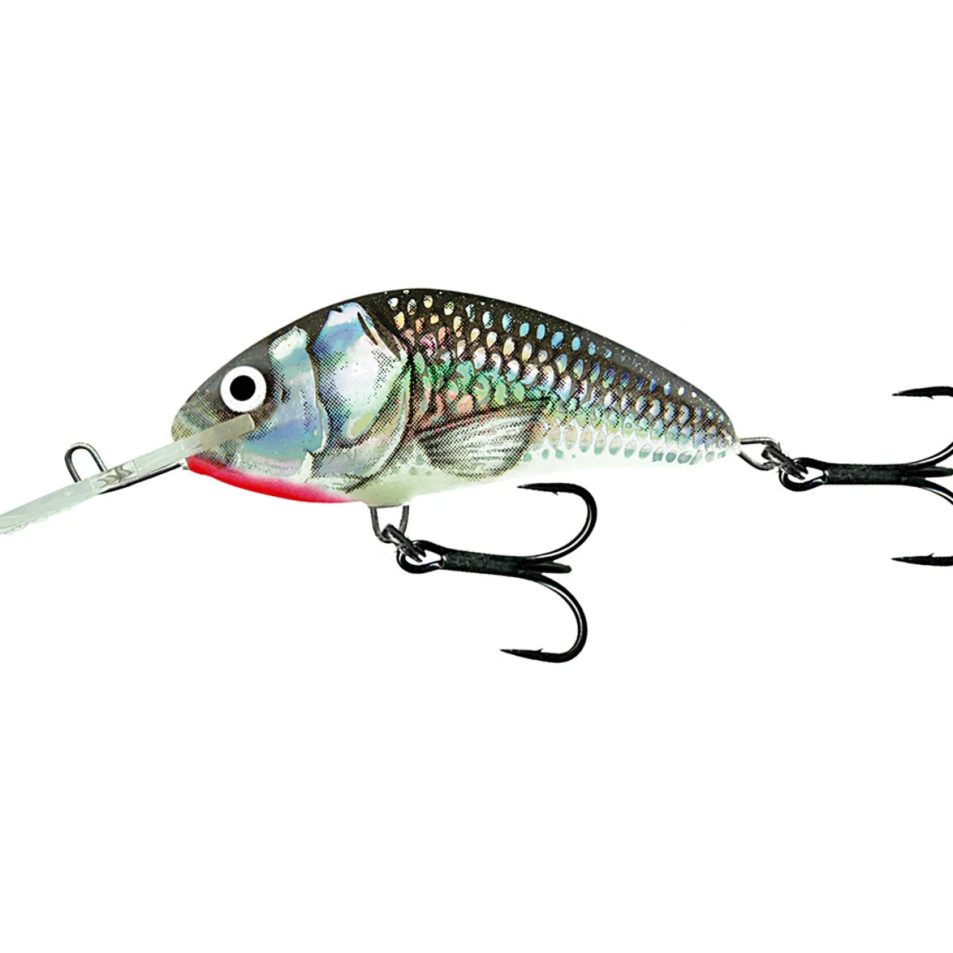 Salmo Hornet