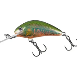 Salmo Hornet