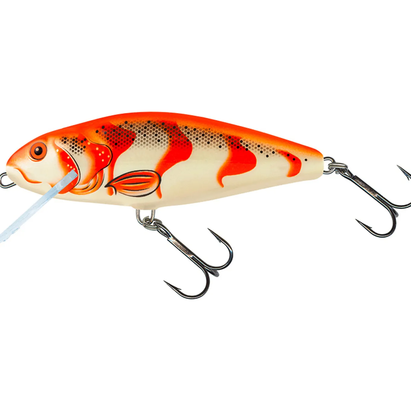 Salmo Perch