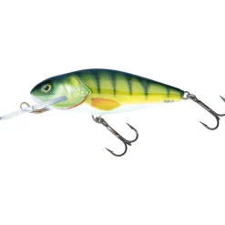 Salmo Perch