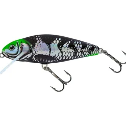 Salmo Perch