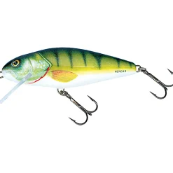 Salmo Perch