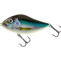 Salmo Slider