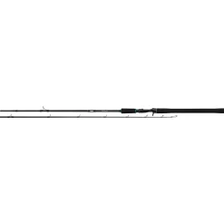 Salmo Trollmaster 2.40m 40-60gr