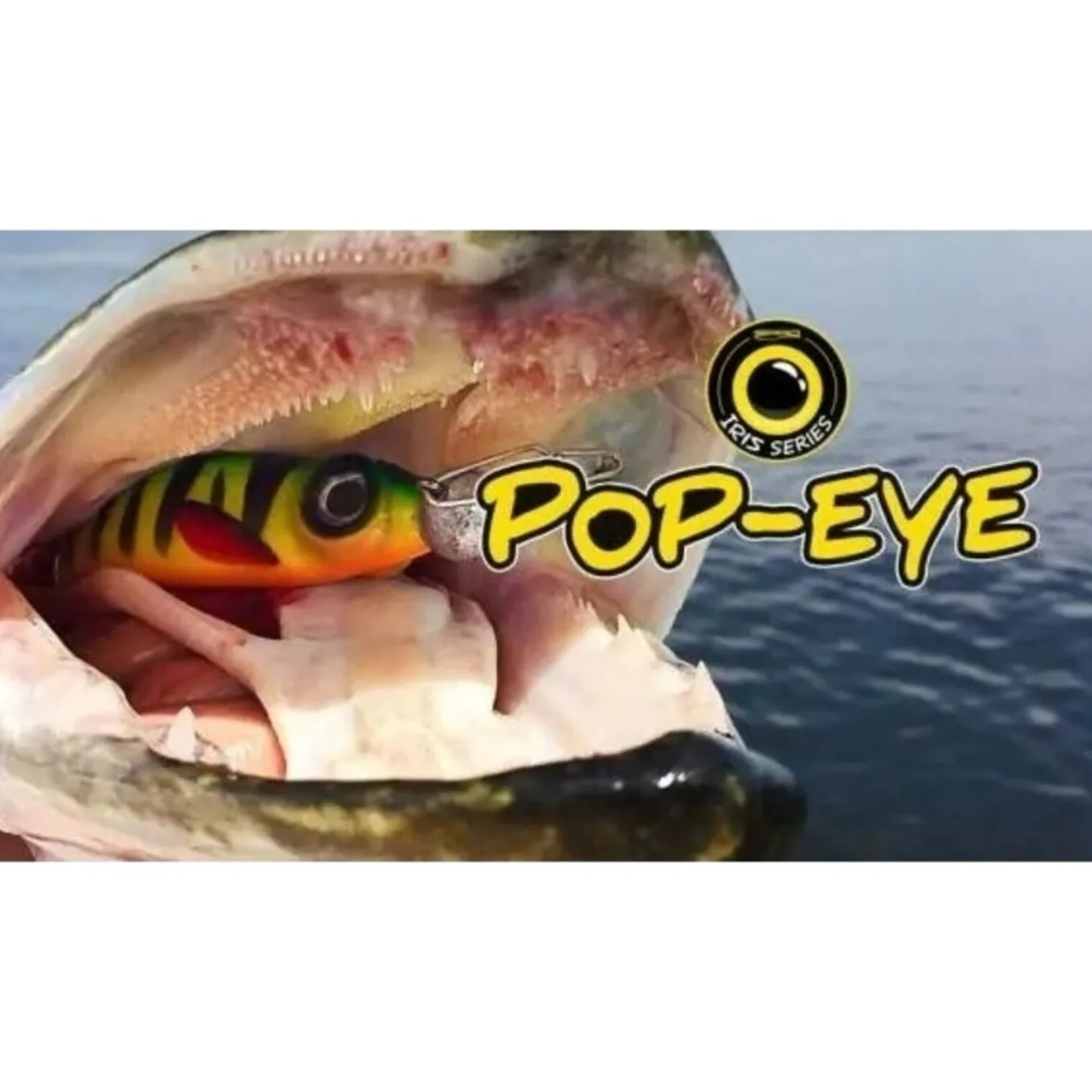 Spro Iris Pop-Eye