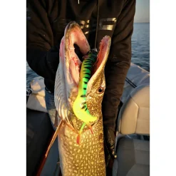 Spro Iris Shocktail