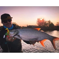 Spro Iris Thrillseeker