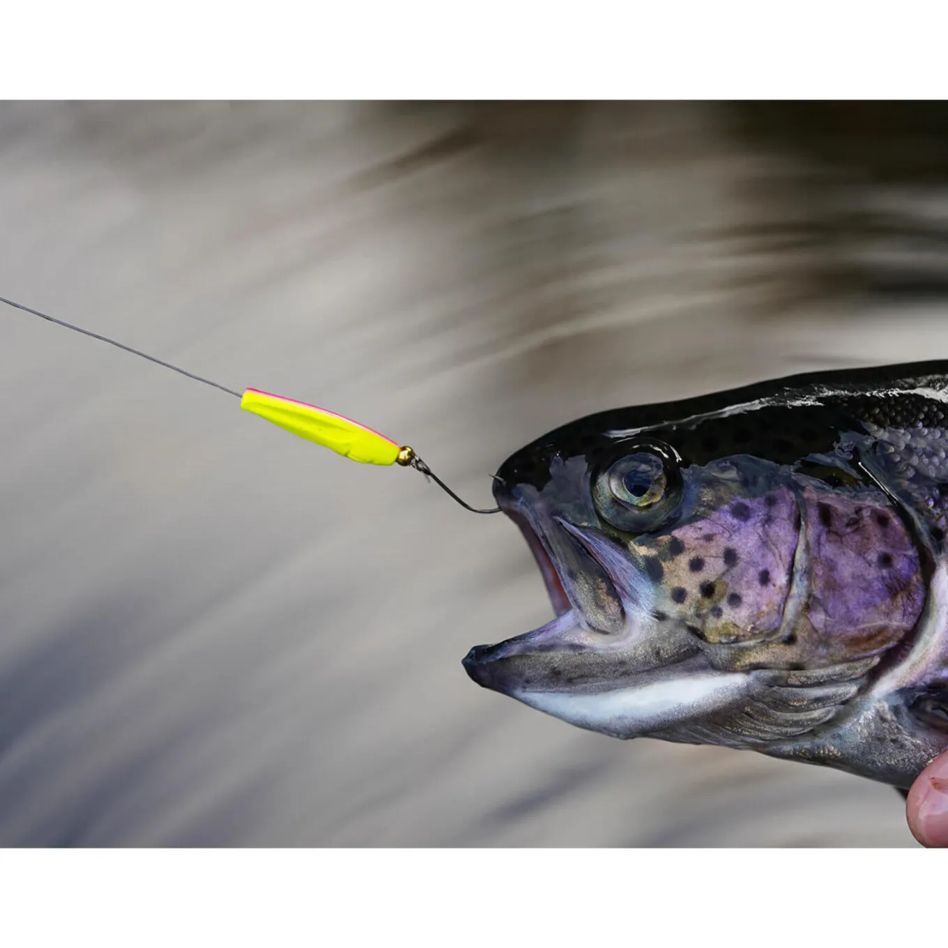 Trout Master Incy Inline Spoon