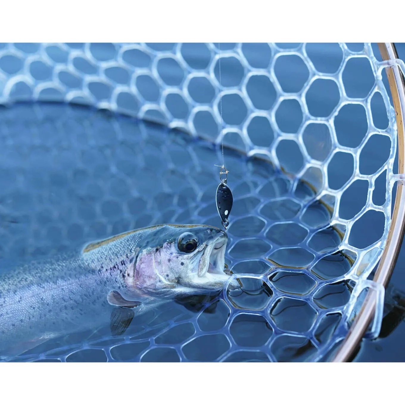 Trout Master Incy Spin Spoon