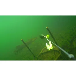 WaterWolf Pro 2.0 WiFi 2K