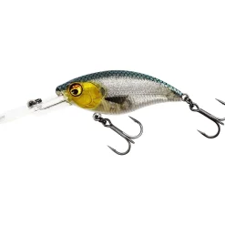 Westin BuzzBite Crankbait
