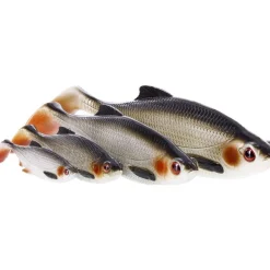 Westin Ricky the Roach Shadtail