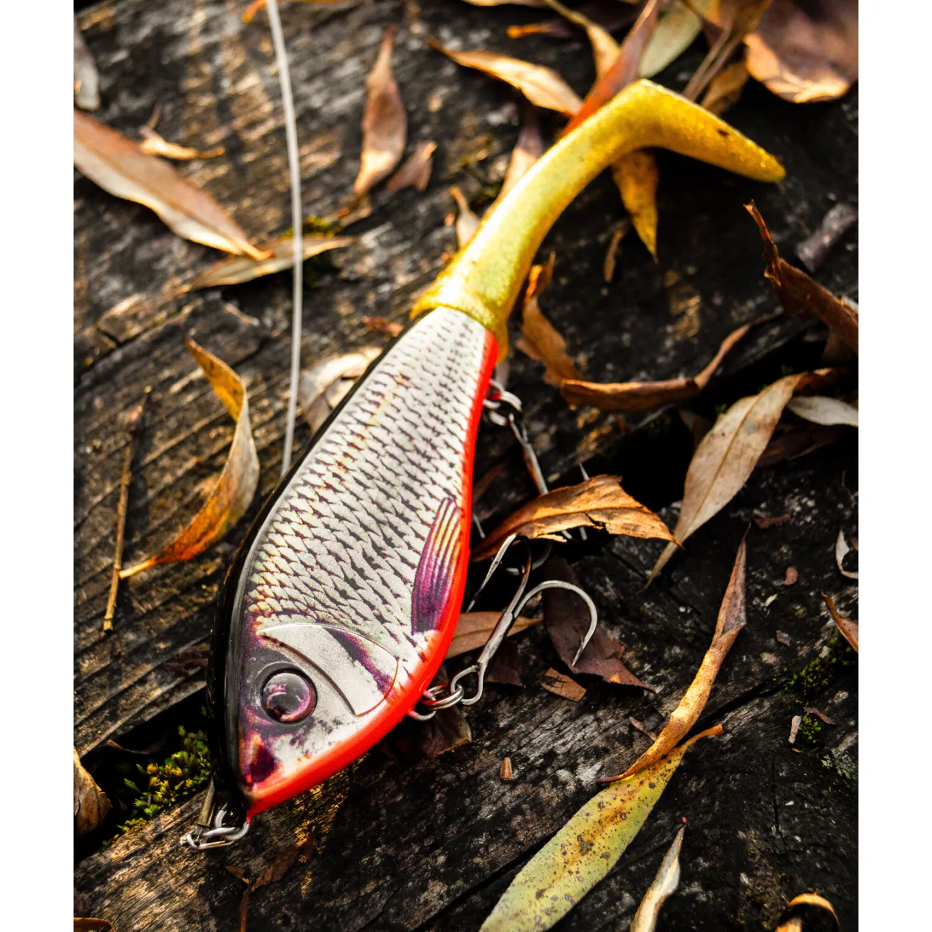 Westin Swim Tail