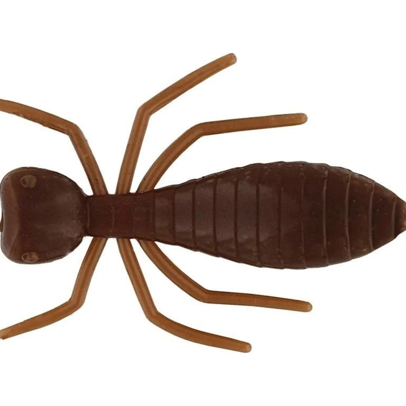 Westin Termite